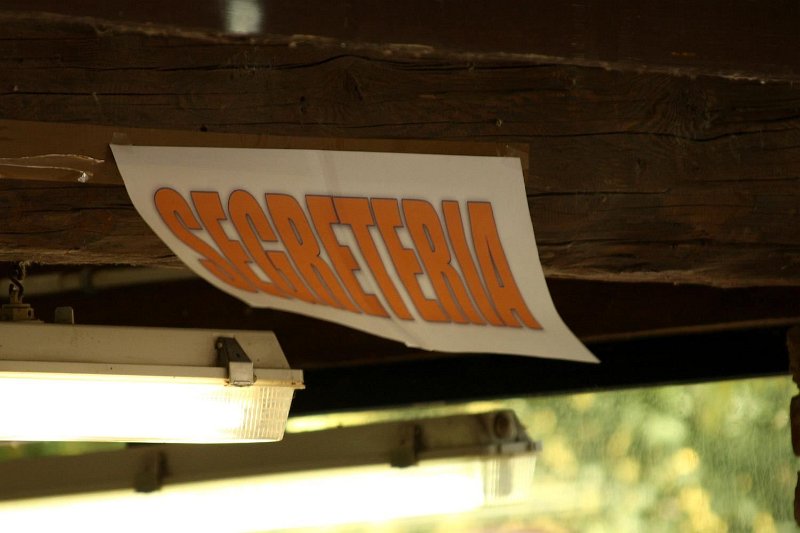 2012-07-01 B & B - Bedlington & Bichon Fun Day (299)_1500x1000.jpg